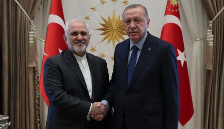 ظریف با اردوغان دیدار کرد
