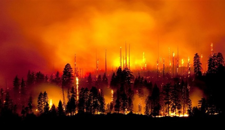 حرائق الغابات تدمر 109 منازل شرق سيبيريا الروسية