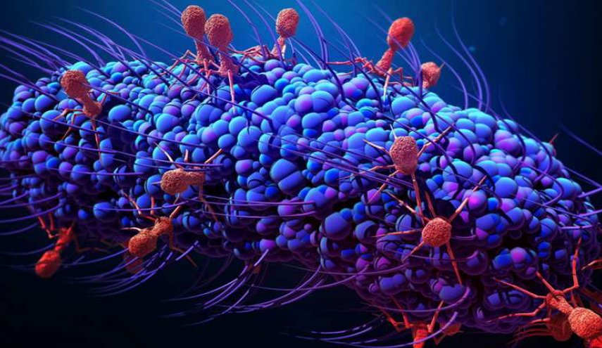 البكتيريا قد تصبح أكثر فتكا بالبشر من السرطان
