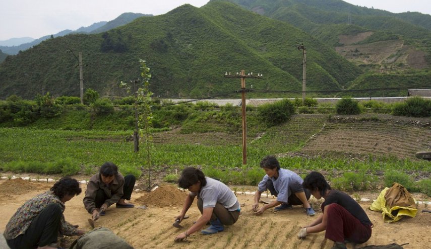 بحران کمبود مواد غذایی در کره شمالی  
