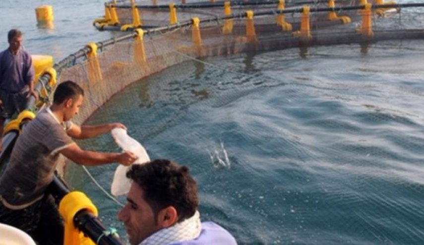 توطين منظومة ذكية لتطوير تربية الاسماك في ايران