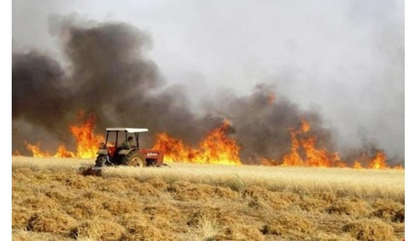 من يحرق حقول المحاصيل بالعراق؟