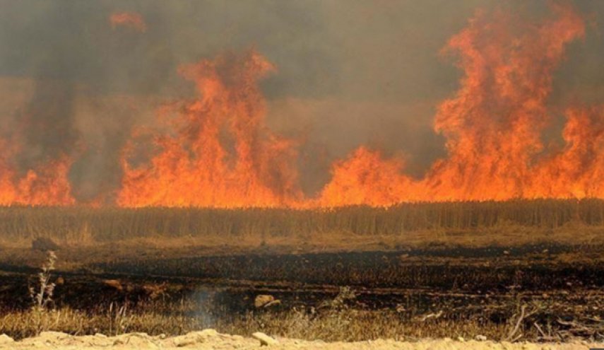 الدفاع المدني العراقي يعلن عن أسباب حرائق الحقول الزراعية
