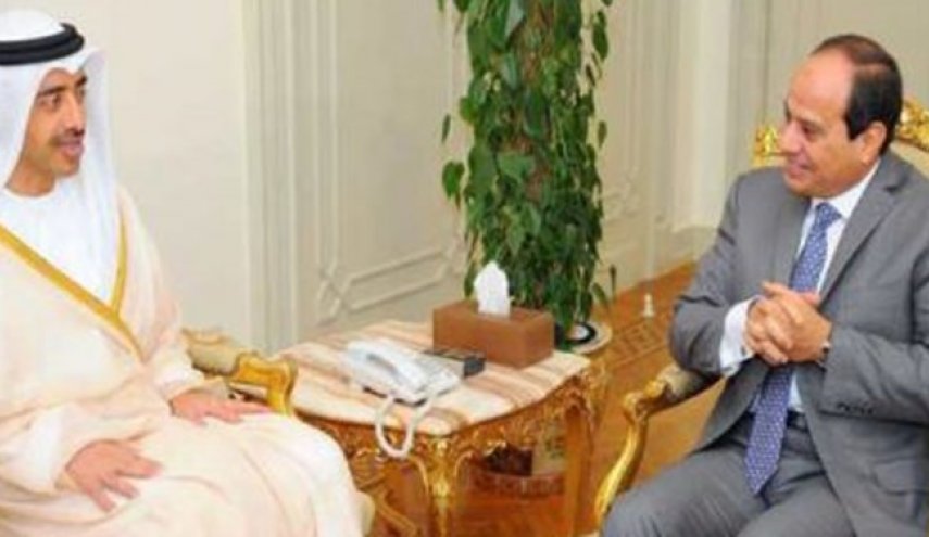 دیدار وزیر خارجه امارات با رئیس‌جمهور مصر