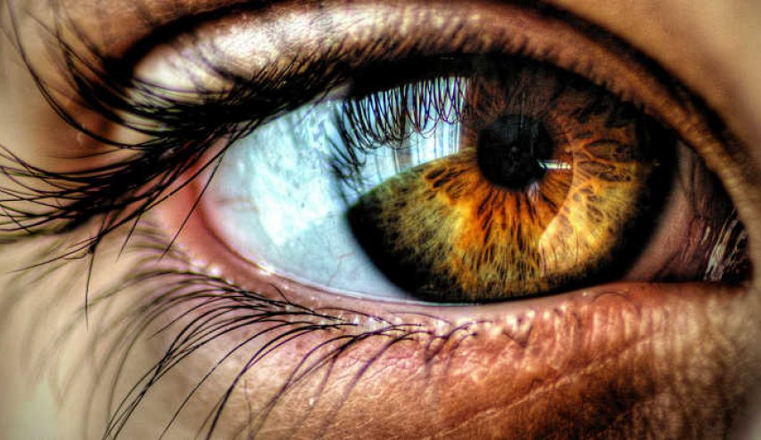 بكتيريا تستوطن مقلة العين قد تقضي على العمى
