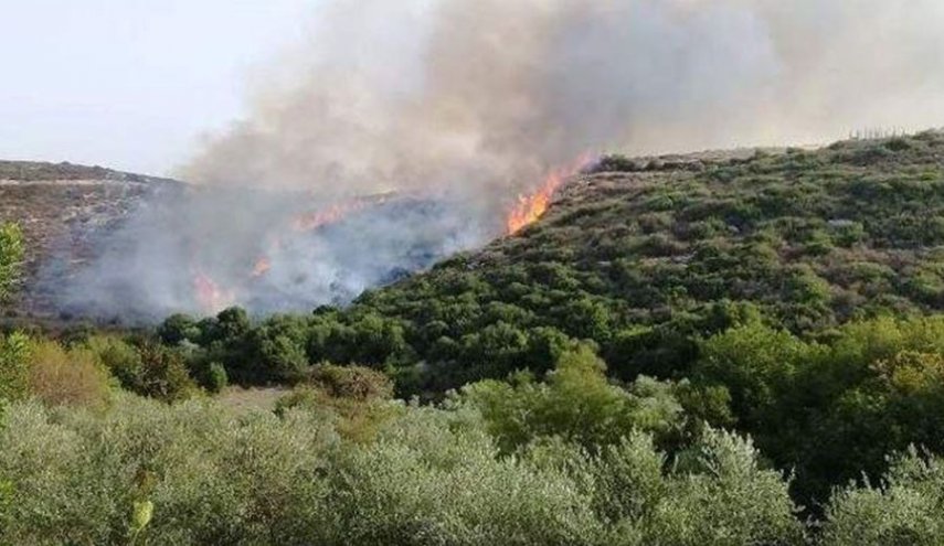 حرائق الصيف تهدد نصف مساحة لبنان