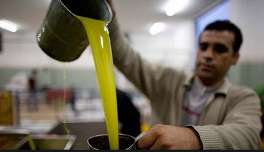 دمشق تكشف حجم صادرات زيت الزيتون السوري