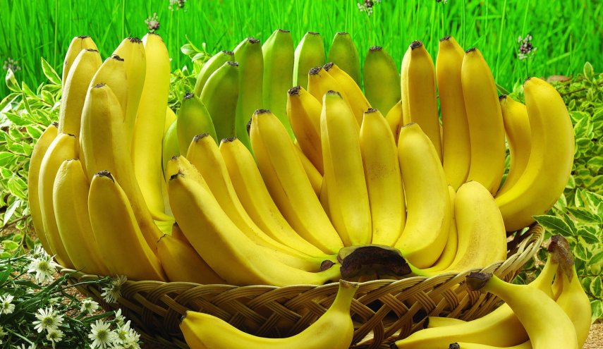  حقائق عن الموز قد تسمع بها للمرة الأولى