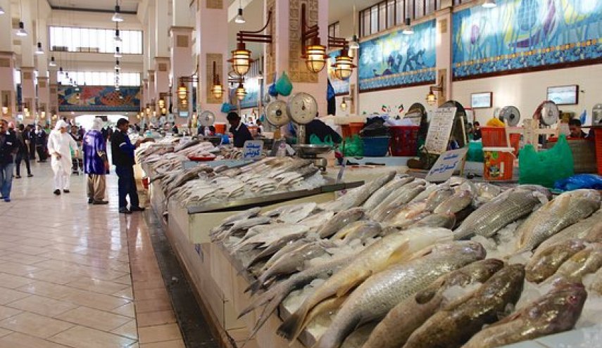 حملة كويتية لمقاطعة الأسماك 