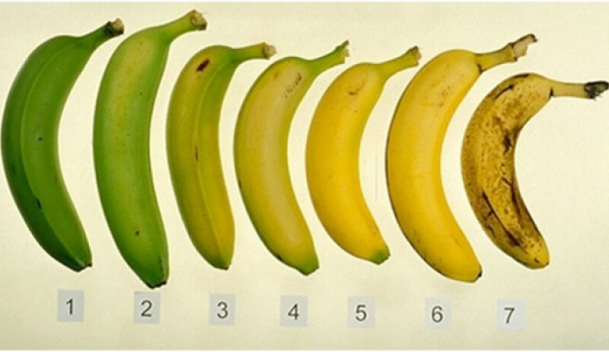 تعرف على فوائد الموز حسب لونه