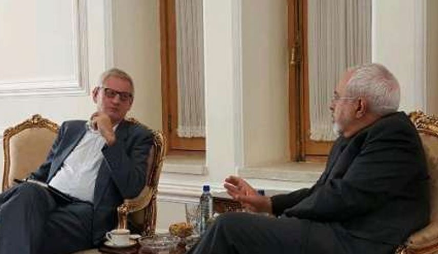 نخست وزیر اسبق سوئد با ظریف دیدار کرد