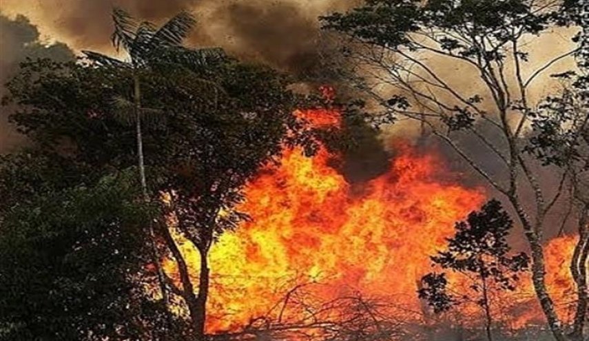 بولسنارو يواجه محنة رئاسته: تدويل كارثة الأمازون 