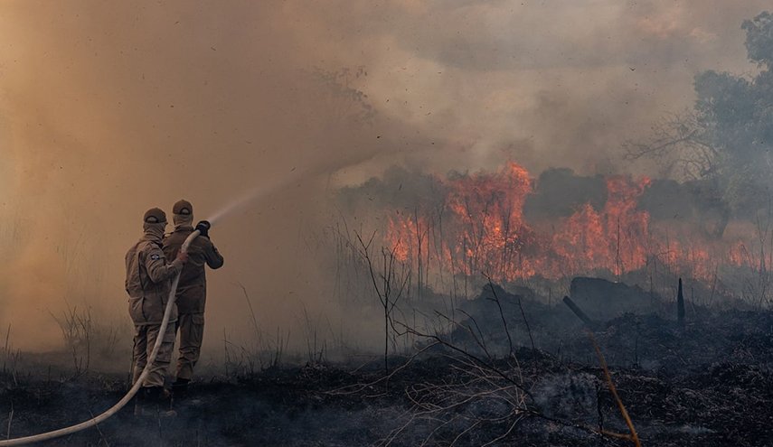 الحرائق في البرازيل ما زالت تلتهم الأخضر واليابس   