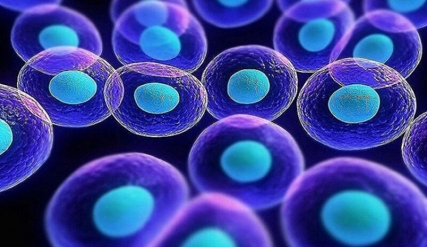 إيران تتقدم 17 مركزا في مؤشر تطوير علوم الخلايا الجذعية