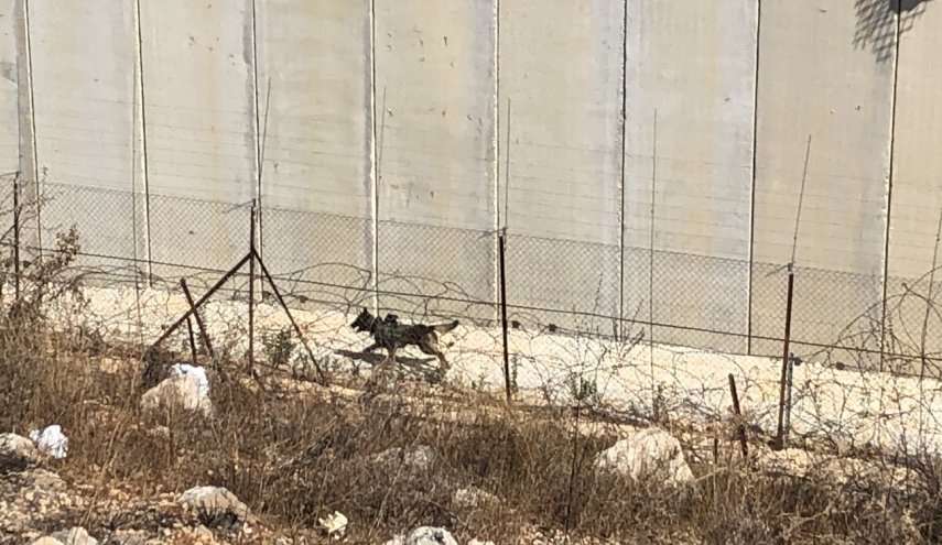 ارسال سگ حامل دوربین به مرزهای لبنان توسط اسرائیل