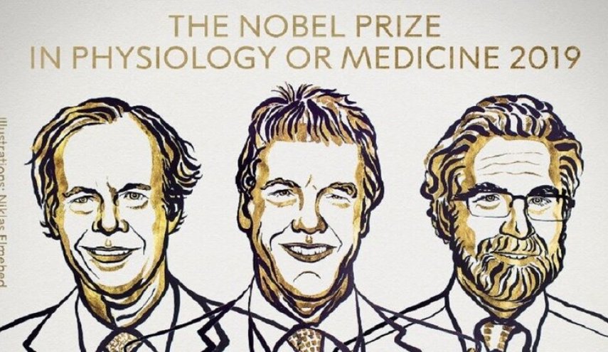 هولاء الثلاثة فازوا بجائزة نوبل الطب لعام 2019