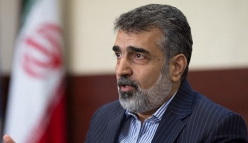 کمالوندی خبر داد: ورود ۳۸ تن سوخت جدید مورد نیاز نیروگاه اتمی بوشهر به کشور