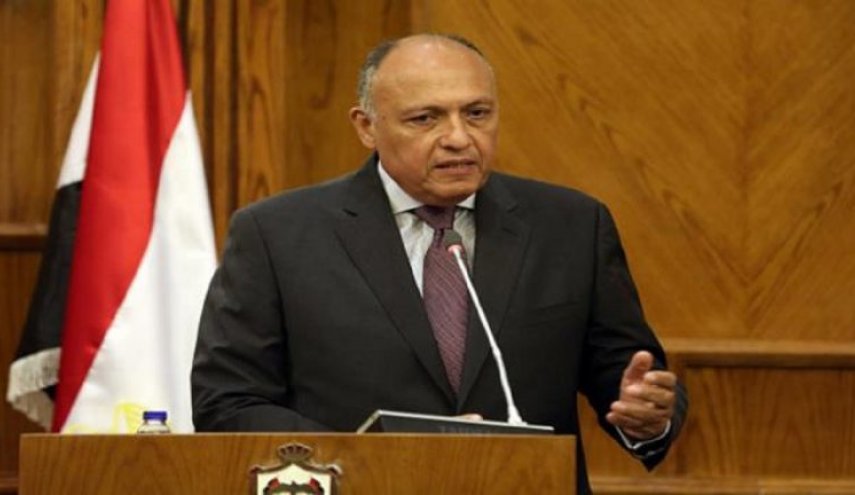 وزیر خارجه مصر: حمله ترکیه، نقض حاکمیت سوریه است