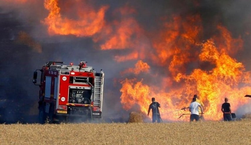 الزراعة السورية تؤكد ان حرائق الغابات في البلاد مفتعلة
