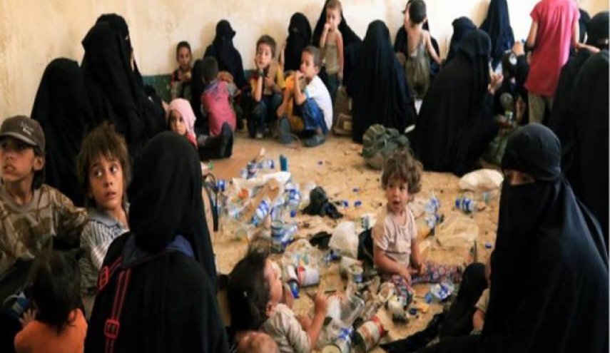 همسران داعشی‌های هلند خواستار بازگشت از سوریه به هلند شدند