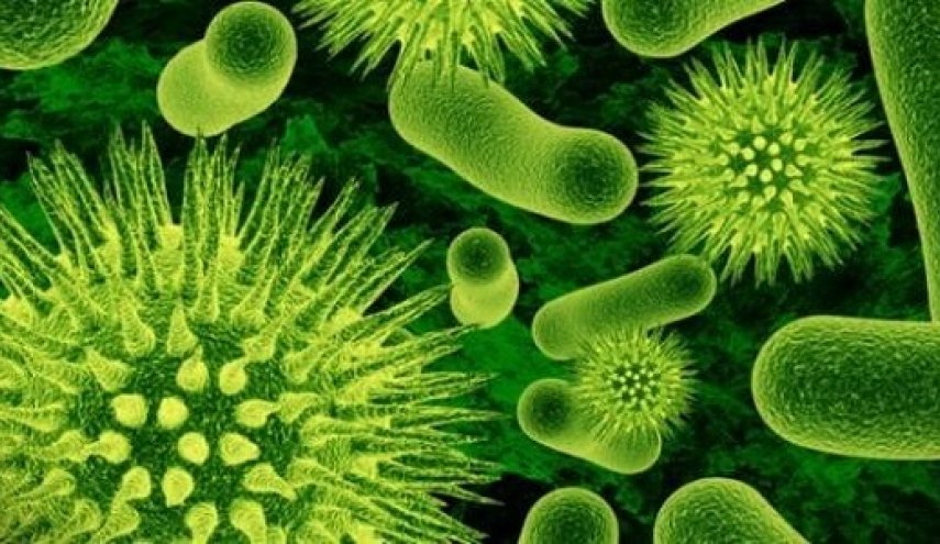 تحذير.. بكتيريا تهدد أرواح 400 آلاف كندي بحلول 2050