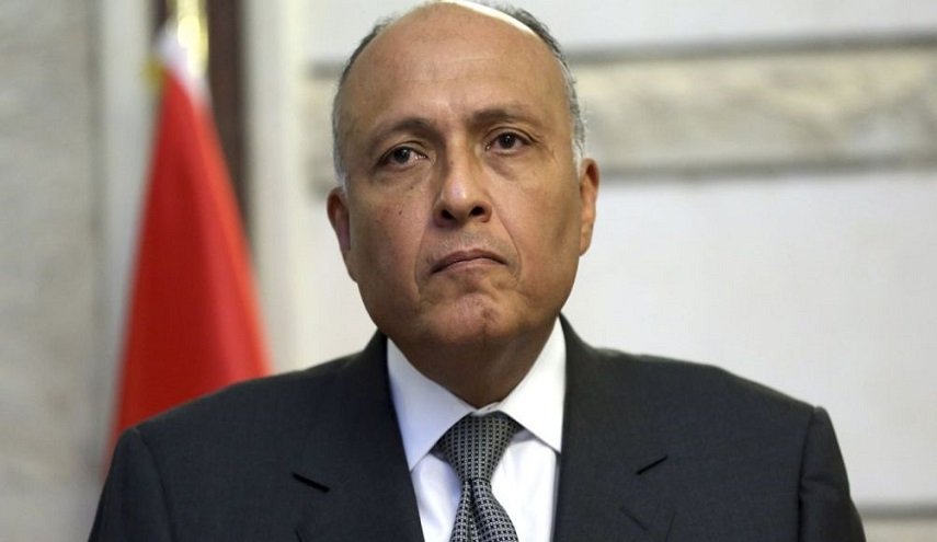 مصر تدعو العرب للتصدي لمساعي تصفية القضية الفلسطينية