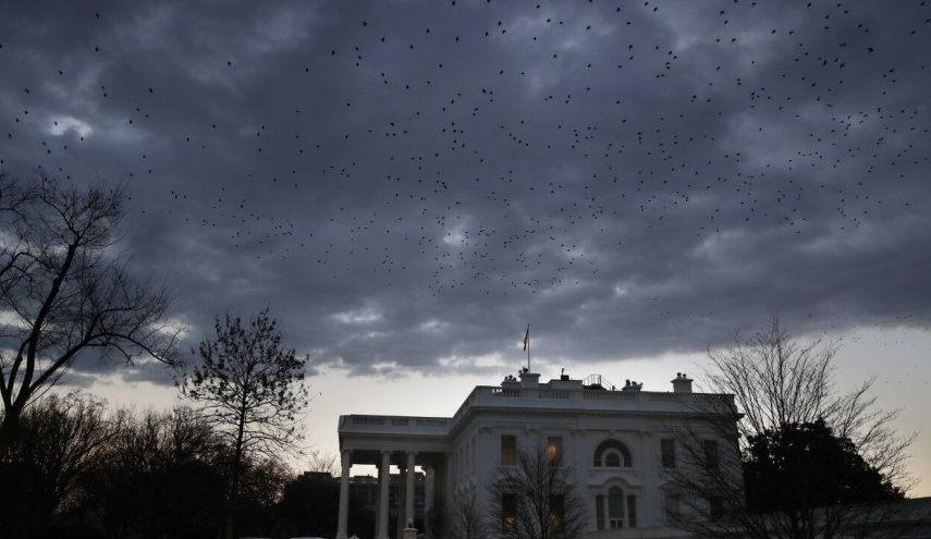 پرندگان موجب اعلام حالت فوق‌العاده در واشنگتن شدند