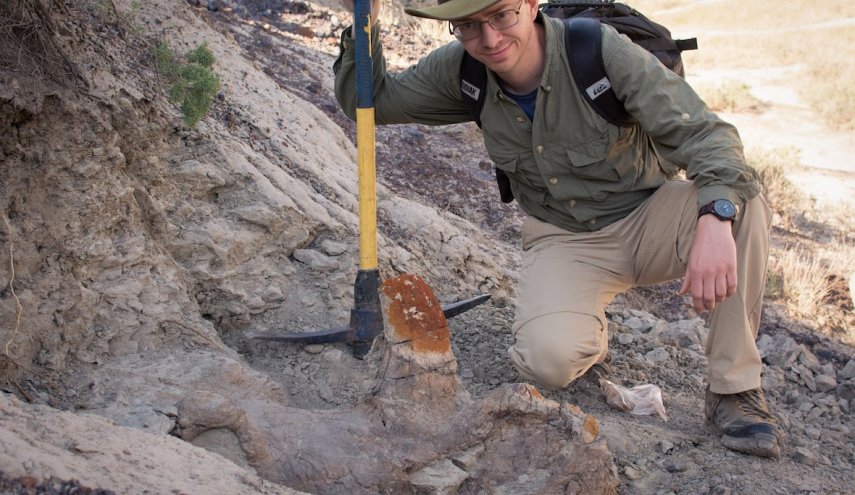 رأس ديناصور تهدم نظرية سائدة في علم الحفريات