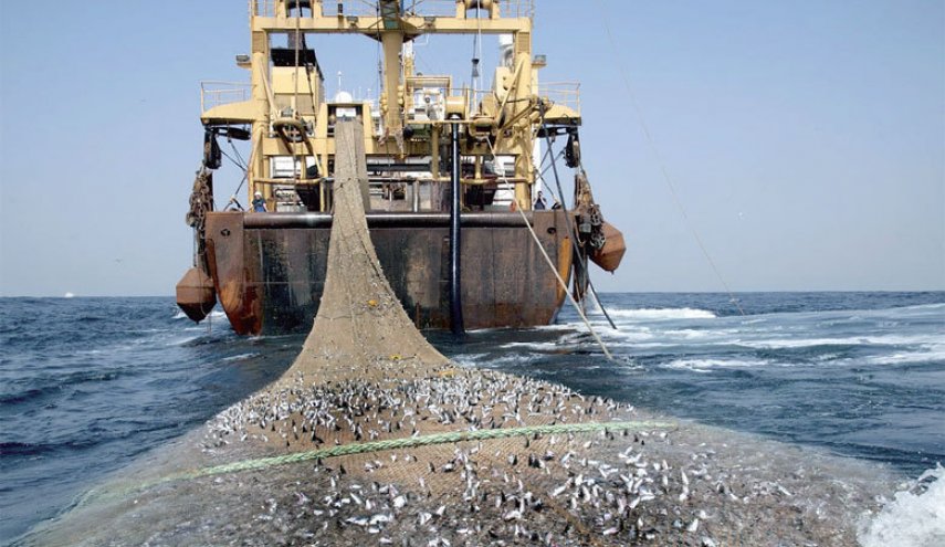 الثروة السمكية في موريتانيا كنز تغتالها تركيا!