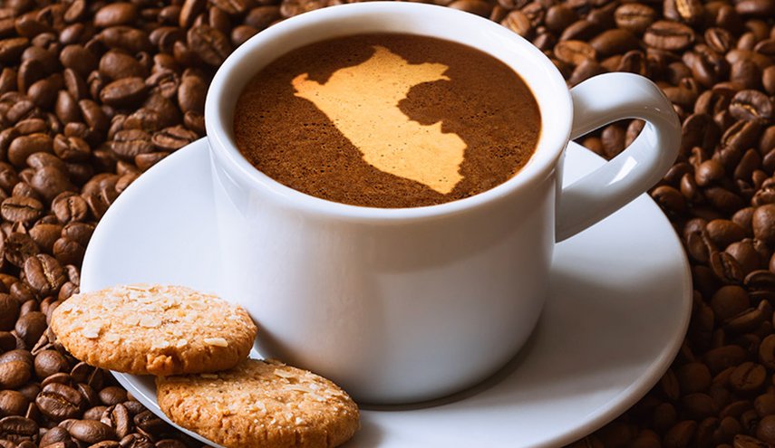 الفوائد الصحية المذهلة للقهوة المفلترة