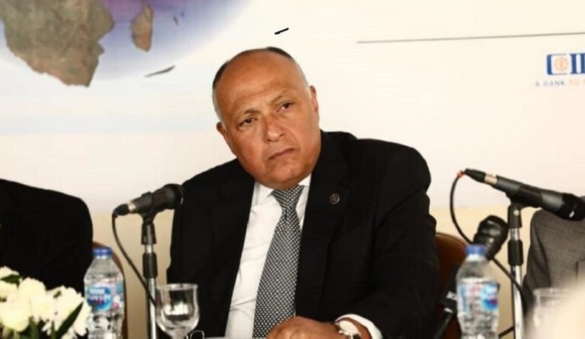وزير الخارجية المصري يتحدث عن قوة مصر في المنطقة 