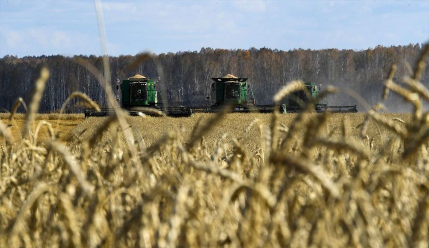 روسيا ترسل 25 ألف طن من القمح إلى سوريا