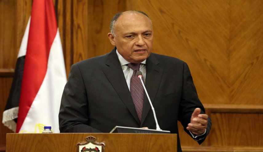 مصر تعلن موقفها من استشهاد الفريق سليماني