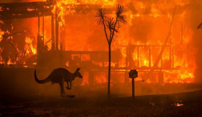 حرائق أستراليا المتواصلة تقضي على حياة أكثر من مليار حيوان