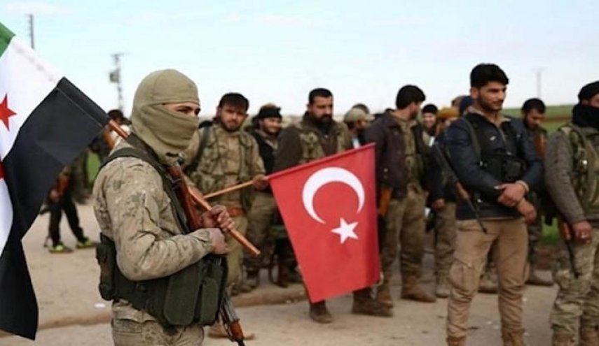 تركيا تعلق على منحها الجنسية لسوريين مقابل القتال في ليبيا