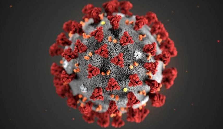 اخبار جدید از ویروس کرونا| 7800 مبتلا و 170 کشته تا کنون/ درخواست بهداشت جهانی از دولت‌ها برای آماده‌باش
