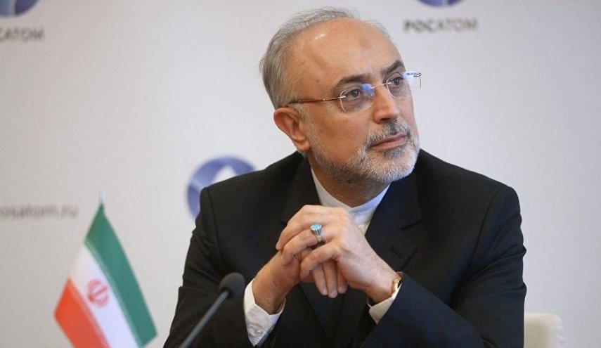 آمریکا رئیس سازمان انرژی اتمی ایران را تحریم کرد