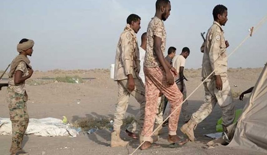 آغاز تبادل اسرا بین دولت نجات ملی یمن و سودان