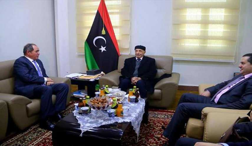 صالح: أزمة ليبيا أمنية والجيش قادر على تطهير البلاد