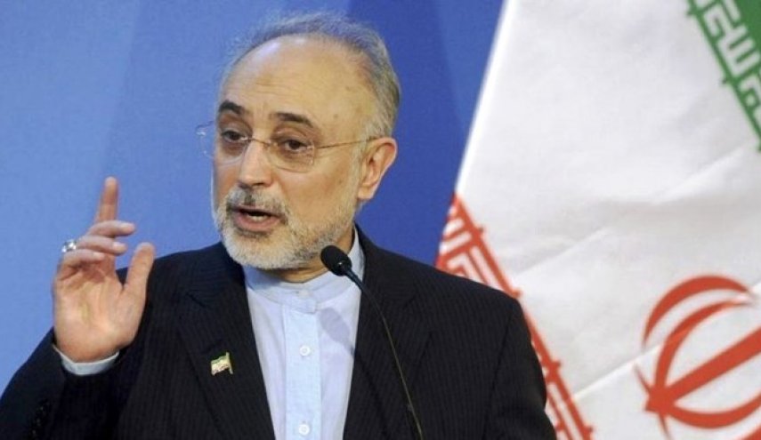 صالحی پس از دیدار با گروسی: ایران تحت فشار تصمیم نمی گیرد