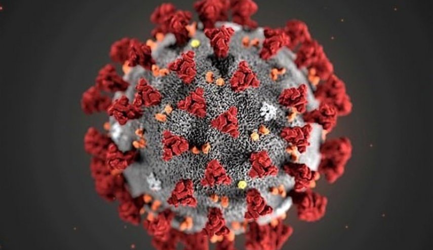 پای ویروس کرونا به آفریقا باز شد