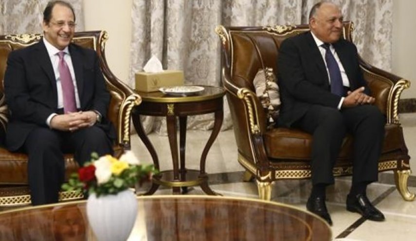 جلسه چند کشور عربی برای مقابله با نفوذ ترکیه در سایه تحولات سوریه
