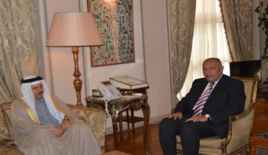 وزير الخارجية المصري يبحث مع نظيره البحريني التطورات الخاصة بسوريا