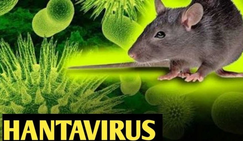 علائم و نشانه های هانتا ویروس که بعد از کرونا پیدا شده چیست؟ + جزئیات