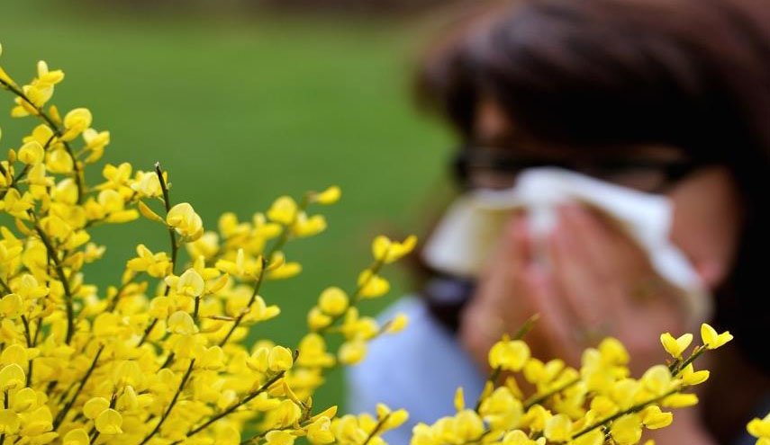 كيف يمكن التمييز بين أعراض حساسية الربيع وأعراض كورونا؟ 