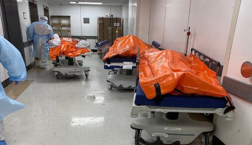 تداول صور لأكياس جثث ضحايا كورونا في بؤرة الوباء بأمريكا