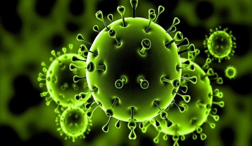 مفاجأة وزارة الصحة الروسية حول تأثير الثوم والليمون والزنجبيل على فيروس كورونا