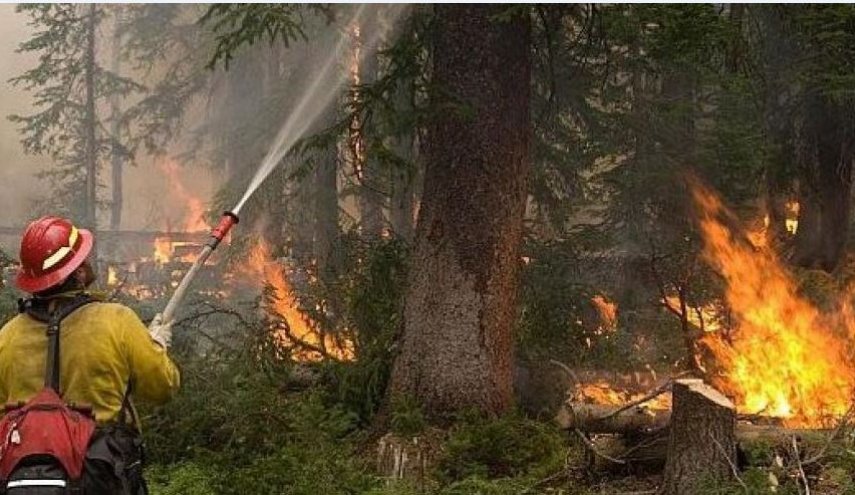 حريق يلتهم 2500 هكتار من الغابات بكازاخستان