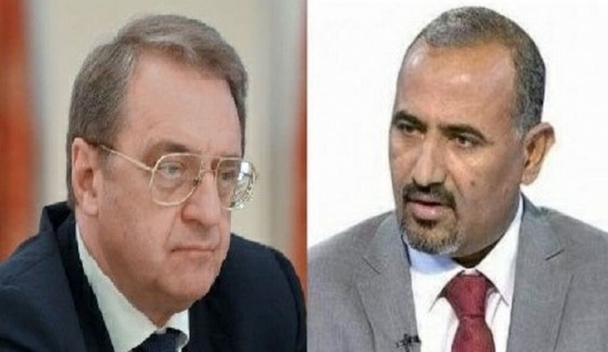رئیس شورای انتقالی جنوب یمن با معاون وزیر خارجه روسیه گفت‌وگو کرد