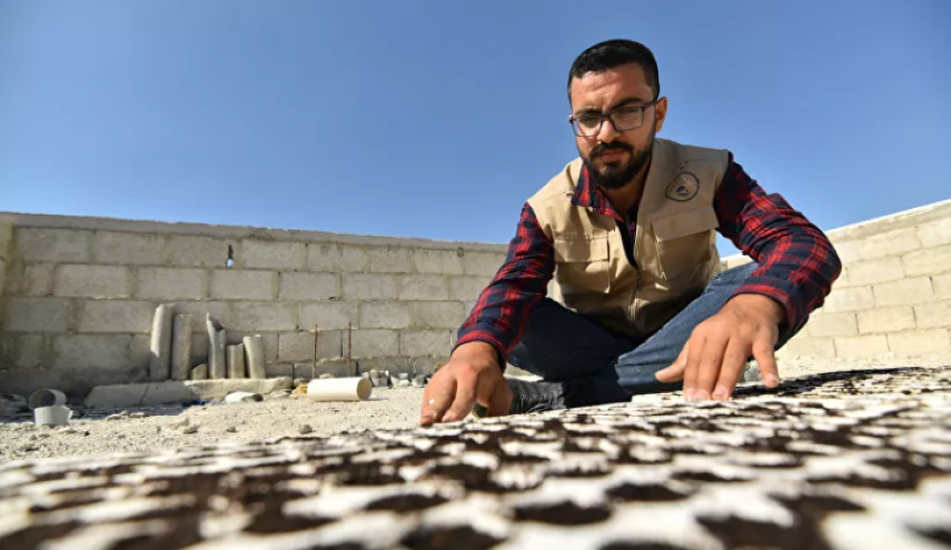 شاهد..شاب سوري ينتج 35 طن خضراوات على سطح بناية
